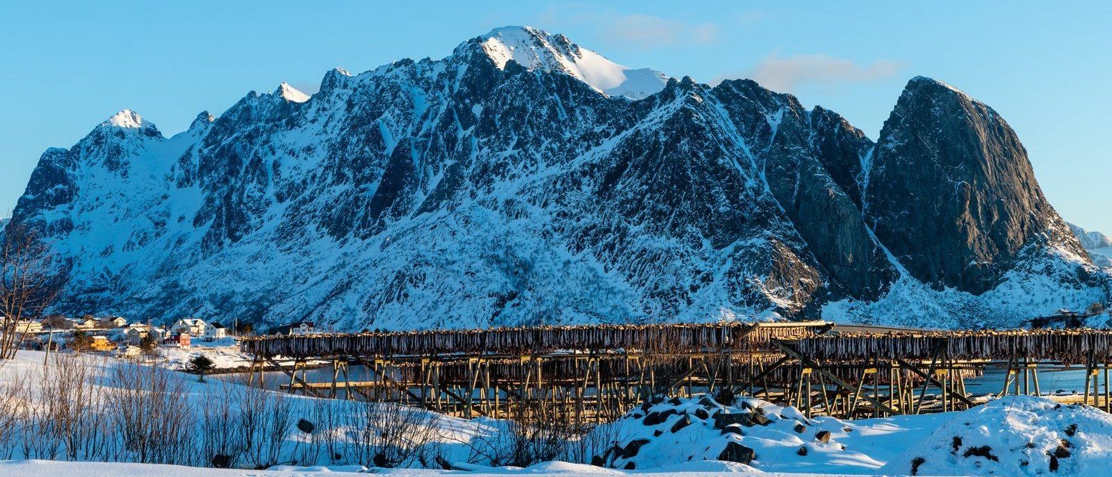 Wooden racks hung with drying cod on a snowy shore at Reine in Lofoten, a wall of jagged snow-covered mountains rising behind under a clear blue sky.
