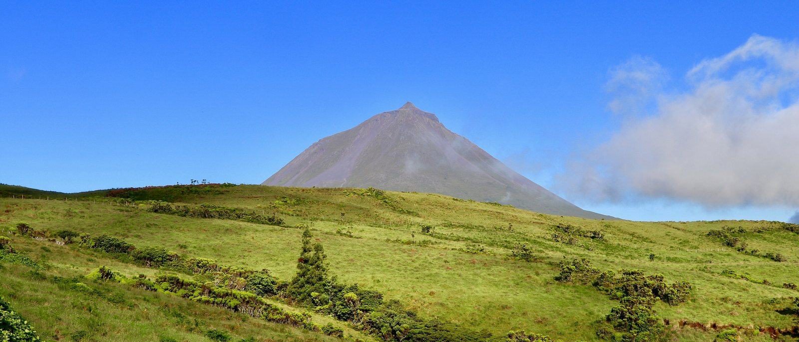 A clean volcanic cone rising above green upland pasture and dark juniper scrub in clear light.