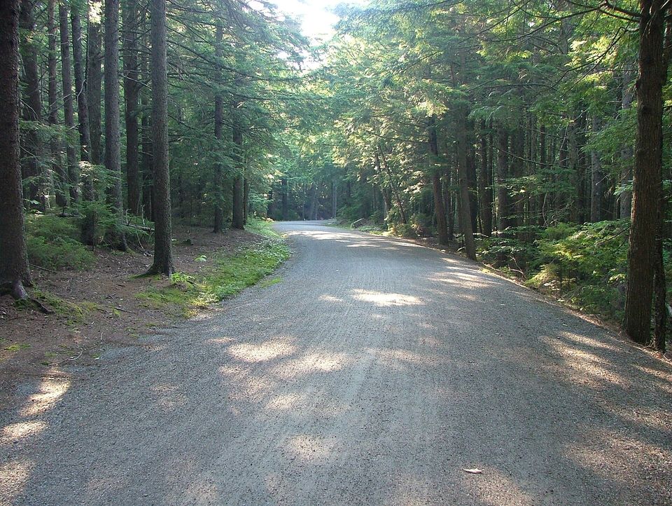 A gravel carriage road curving through dappled green forest