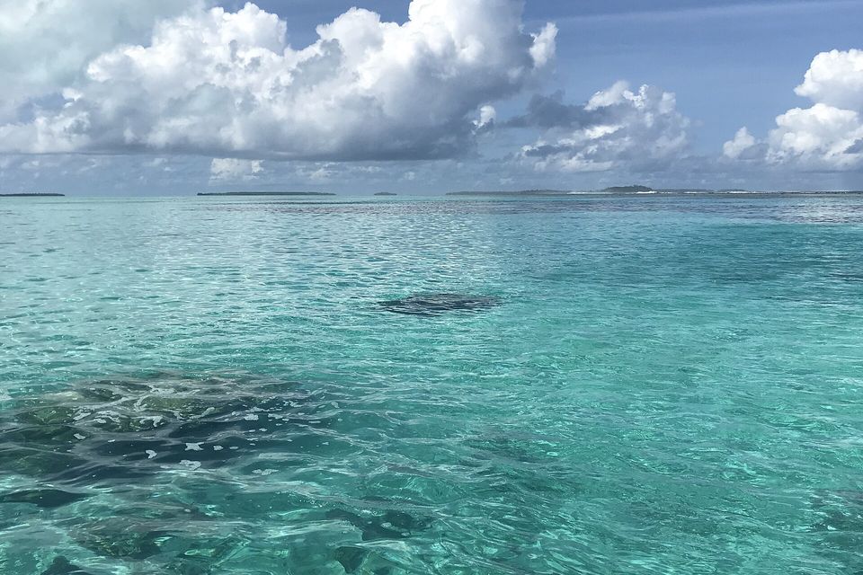 Clear turquoise water over dark coral heads in Aitutaki's lagoon, under tall white clouds