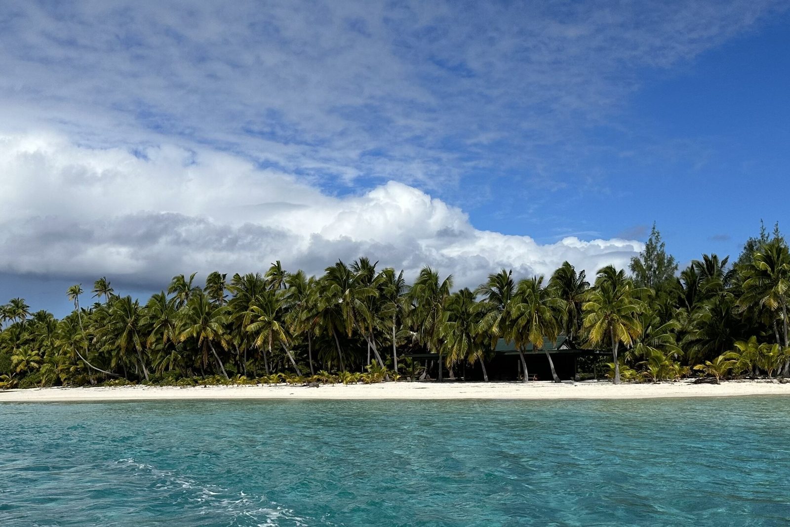 A low island of coconut palms with a white sand beach, seen across the pale turquoise water of Aitutaki's lagoon