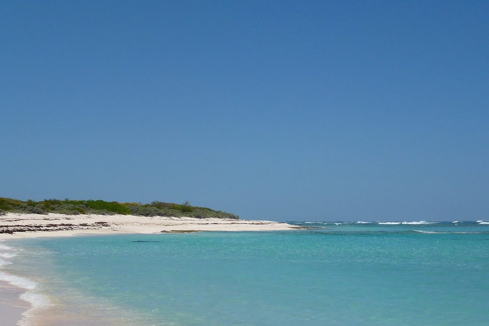 A white beach and low green scrub meet clear turquoise water under a cloudless sky, with surf on the reef far out