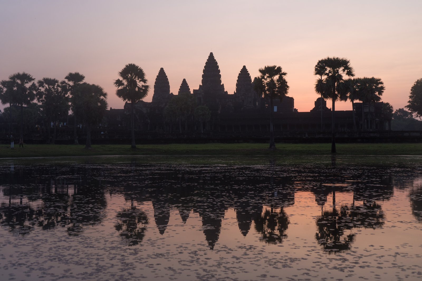 The dark silhouette of a temple with five towers and palm trees against a pink dawn sky, reflected in still water with lily pads