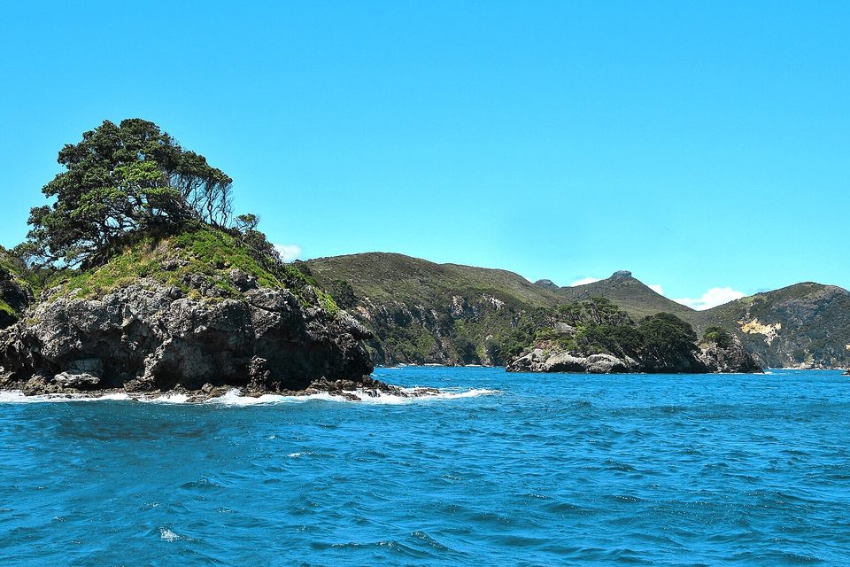 A rugged rock headland topped by a windswept tree and green scrub, with steep hills and inlets behind, across choppy blue water