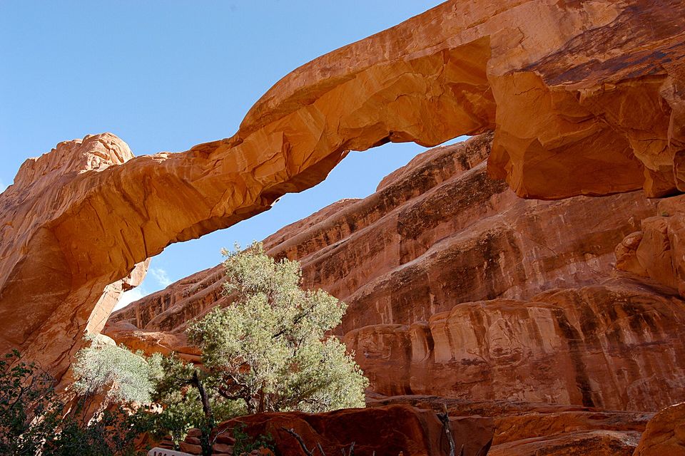 A thick orange sandstone arch on the left with a pale-leaved tree standing under it, a wall of layered red rock behind and blue sky through the opening