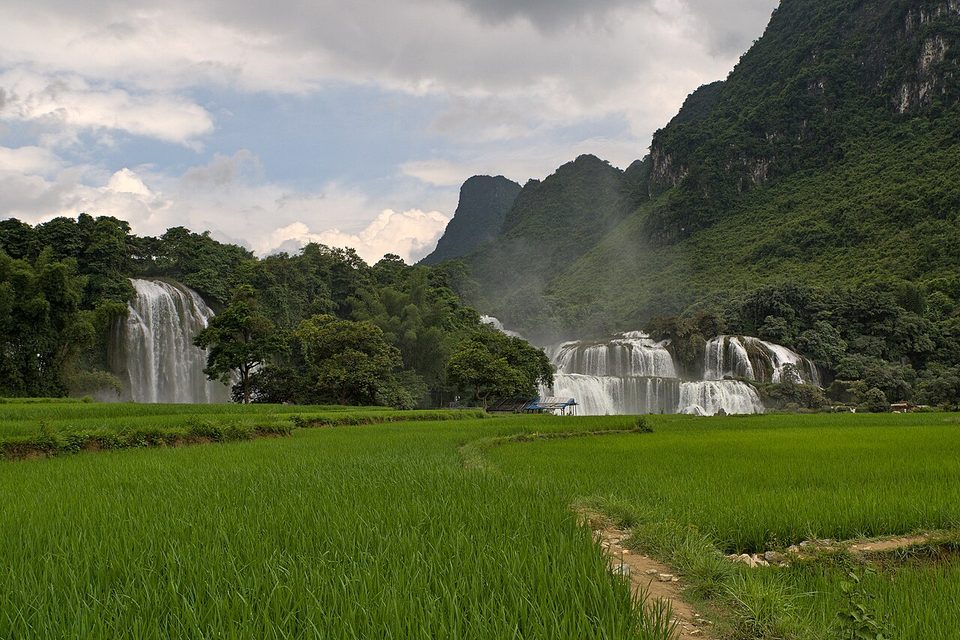 Green rice fields lead to two white waterfalls at the foot of steep, forested limestone hills