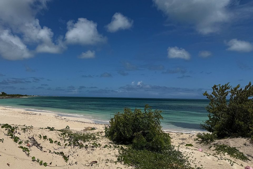 Pale sand with scattered scrub runs to turquoise water under a bright sky with towering cumulus