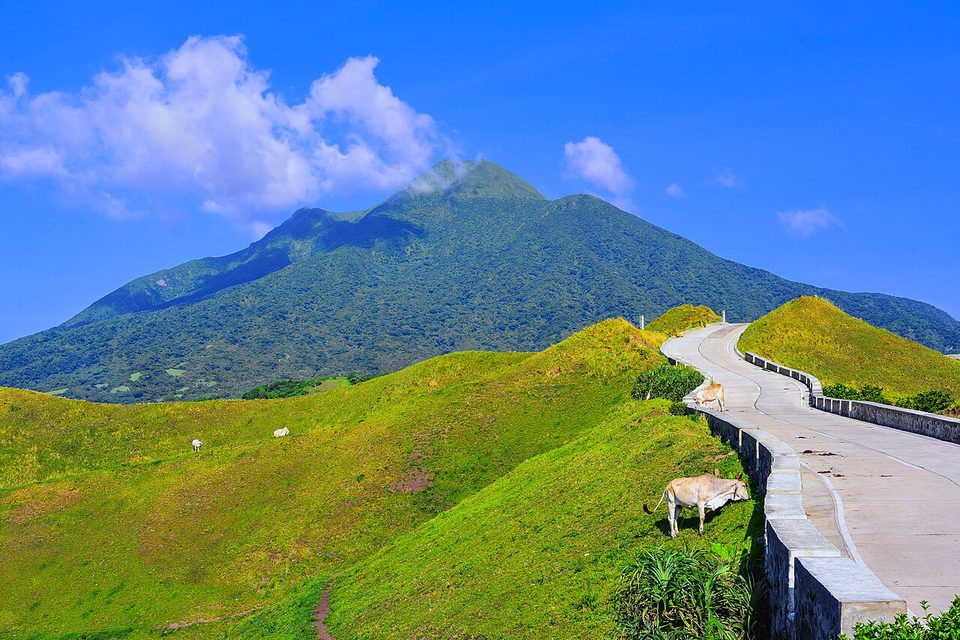 Bright green grassy hills with grazing cattle and a walled road curving over them, below a forested volcano under blue sky