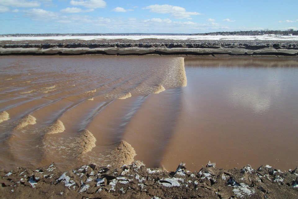 A low brown wave with a train of ripples behind it running up a muddy river between snowy banks