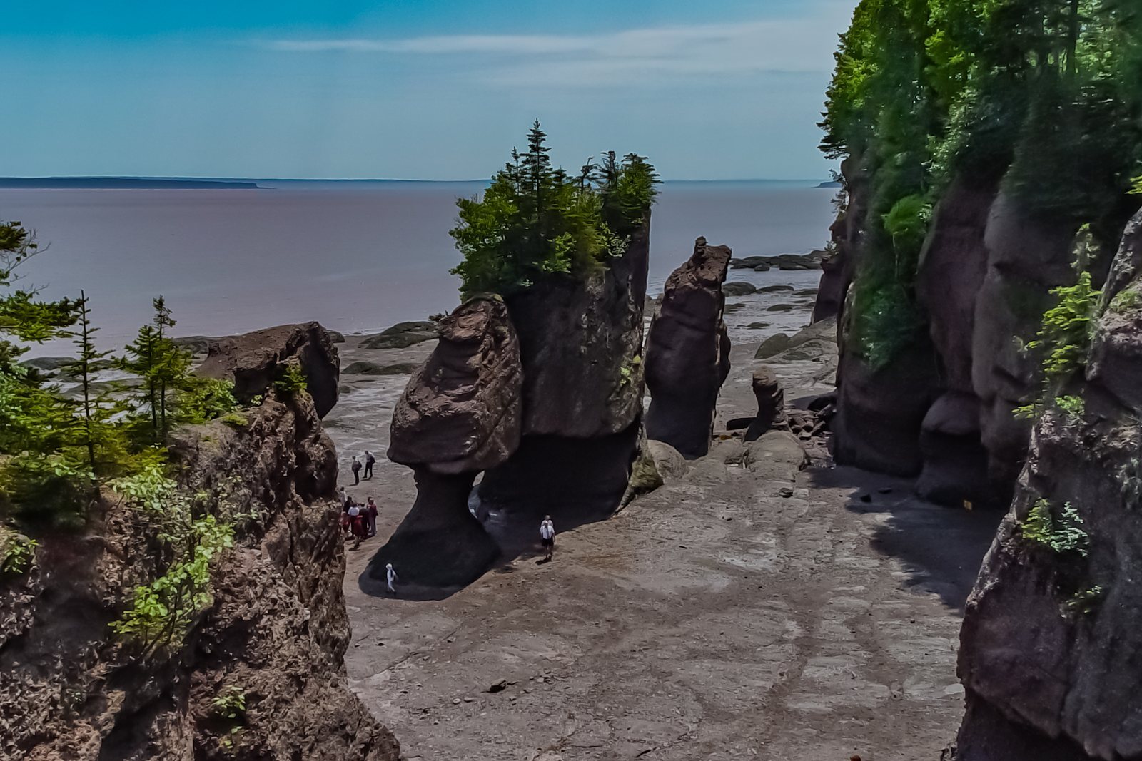 Sandstone sea stacks with spruce growing on top, standing on the exposed sea floor at low tide, people walking at their base
