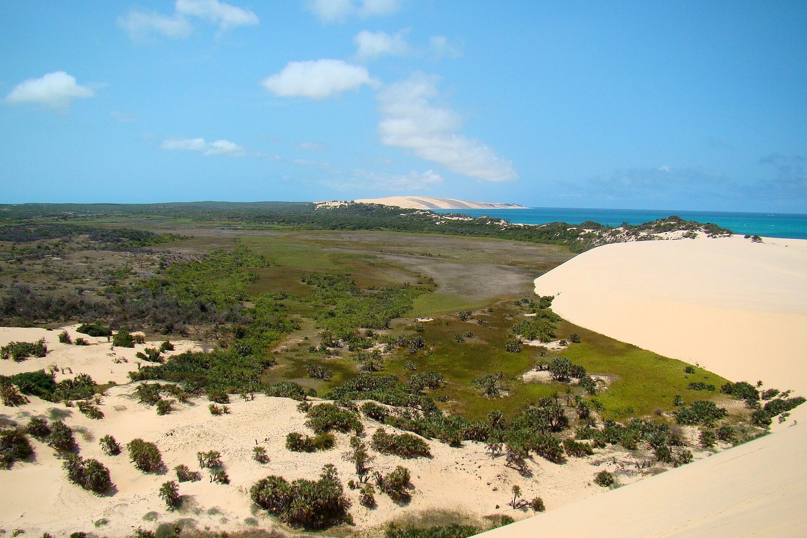 Pale sand sweeping from a high dune over palm scrub and green inland wetlands to a turquoise sea under blue sky