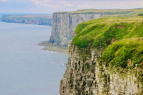 Sheer pale cliffs topped with green grass dropping into a grey sea, with seabirds below