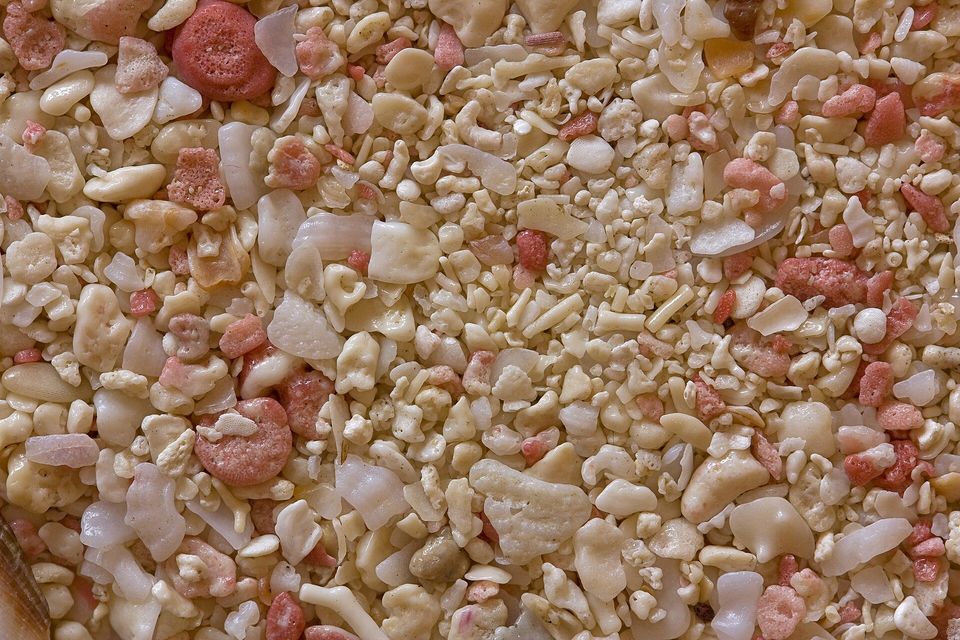 Magnified beach sand of pale shell fragments with pink and red grains scattered among them