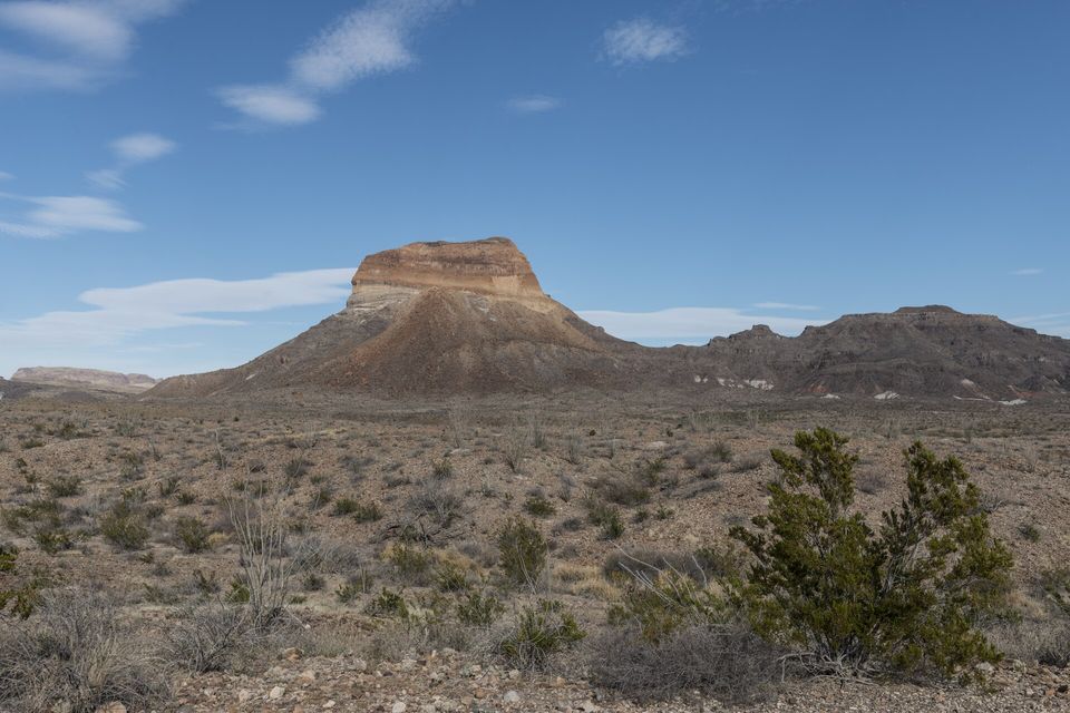 A flat-topped rock butte rising above a desert plain of low shrubs and a juniper, under a blue sky