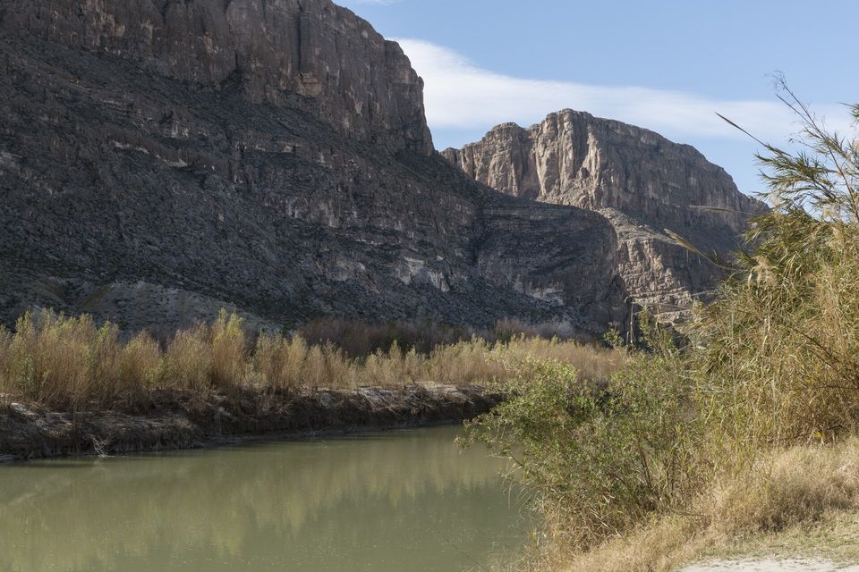 Tall pale reeds and brush beside a slow river, with grey limestone cliffs rising behind