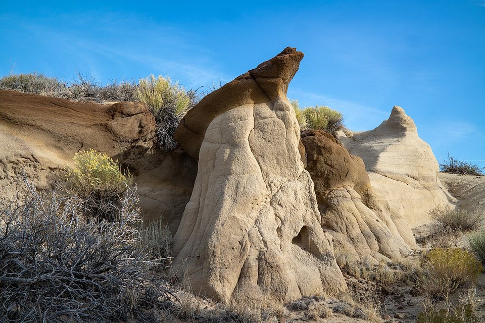 A cream sandstone hoodoo with a brown cap among yellow rabbitbrush under a blue sky
