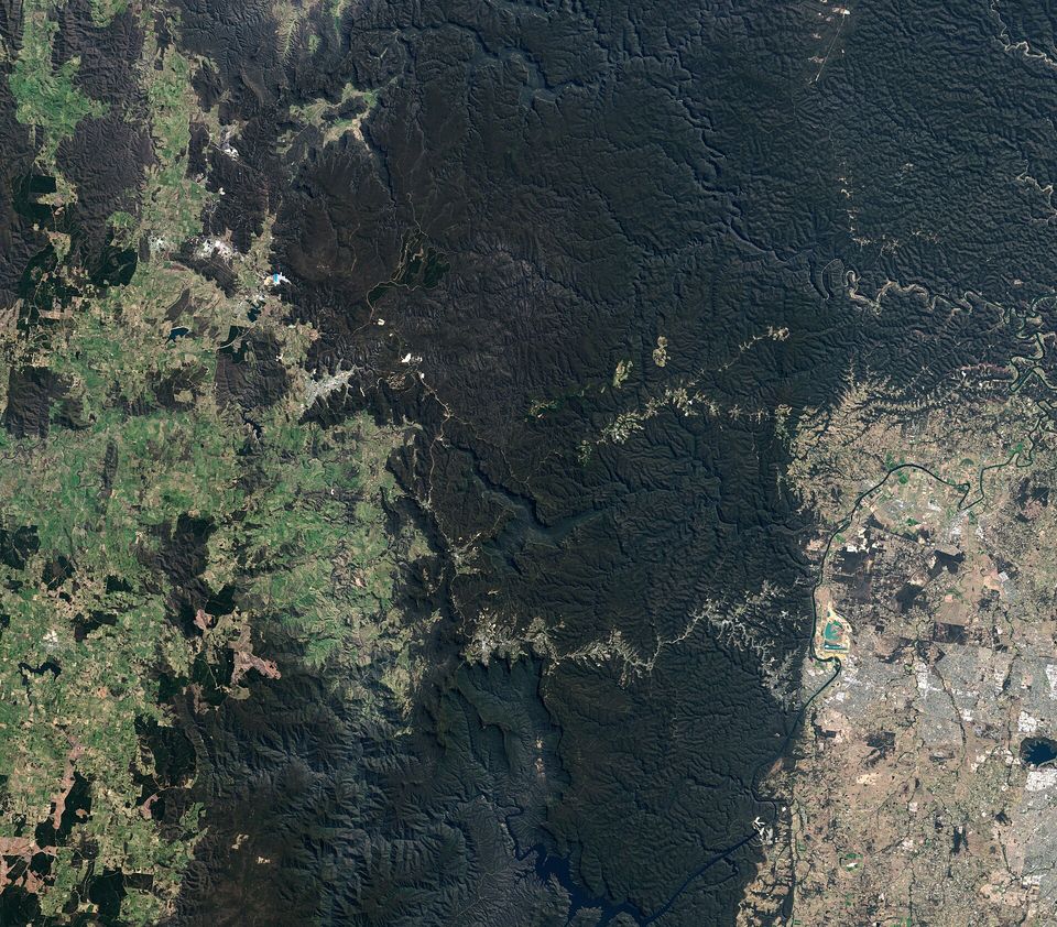 A satellite image of dark green forest cut by winding valleys, with lighter cleared land along its edges