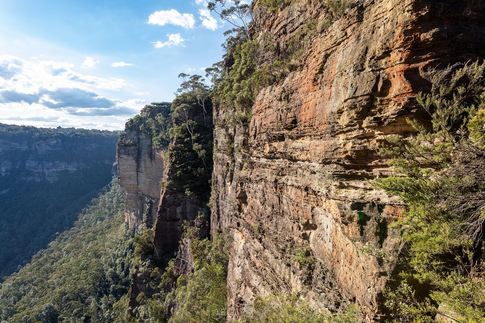 A tall orange and grey sandstone cliff banded with layers of rock and eucalypts clinging to it, a forested gorge falling away at the left