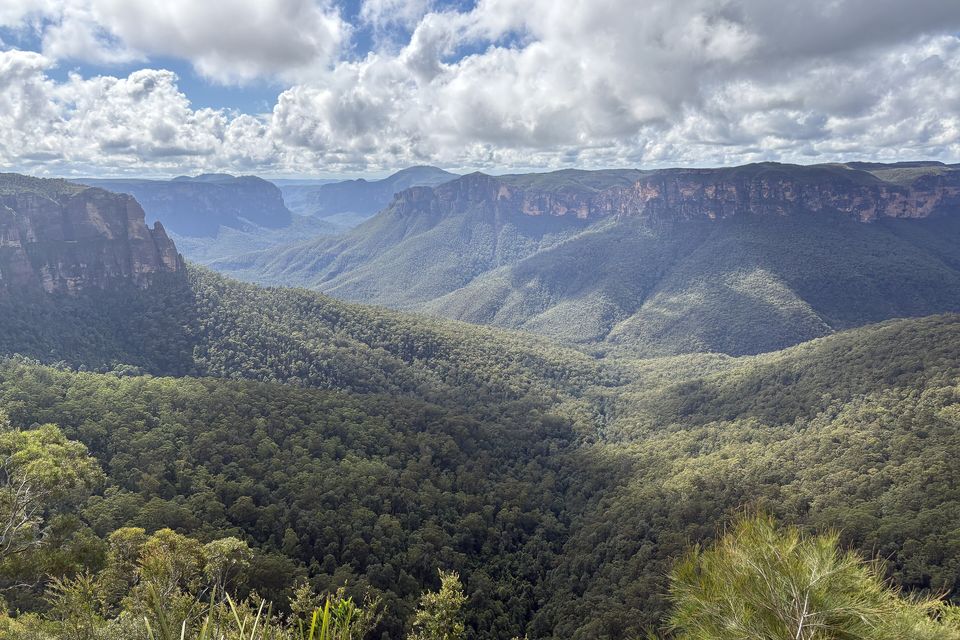 Sunlit eucalypt forest filling a broad valley below distant sandstone cliffs, with heavy cloud above