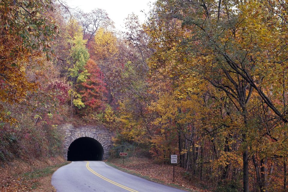 A curving road entering a stone-arched tunnel beneath a hillside of yellow, red and orange autumn trees