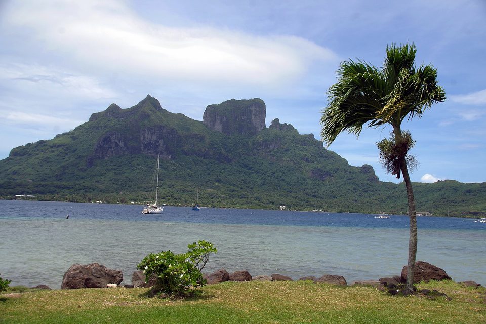 A wide green volcanic mountain with a flat-topped summit across a blue lagoon, two yachts at anchor, a leaning palm and a mown lawn in the foreground