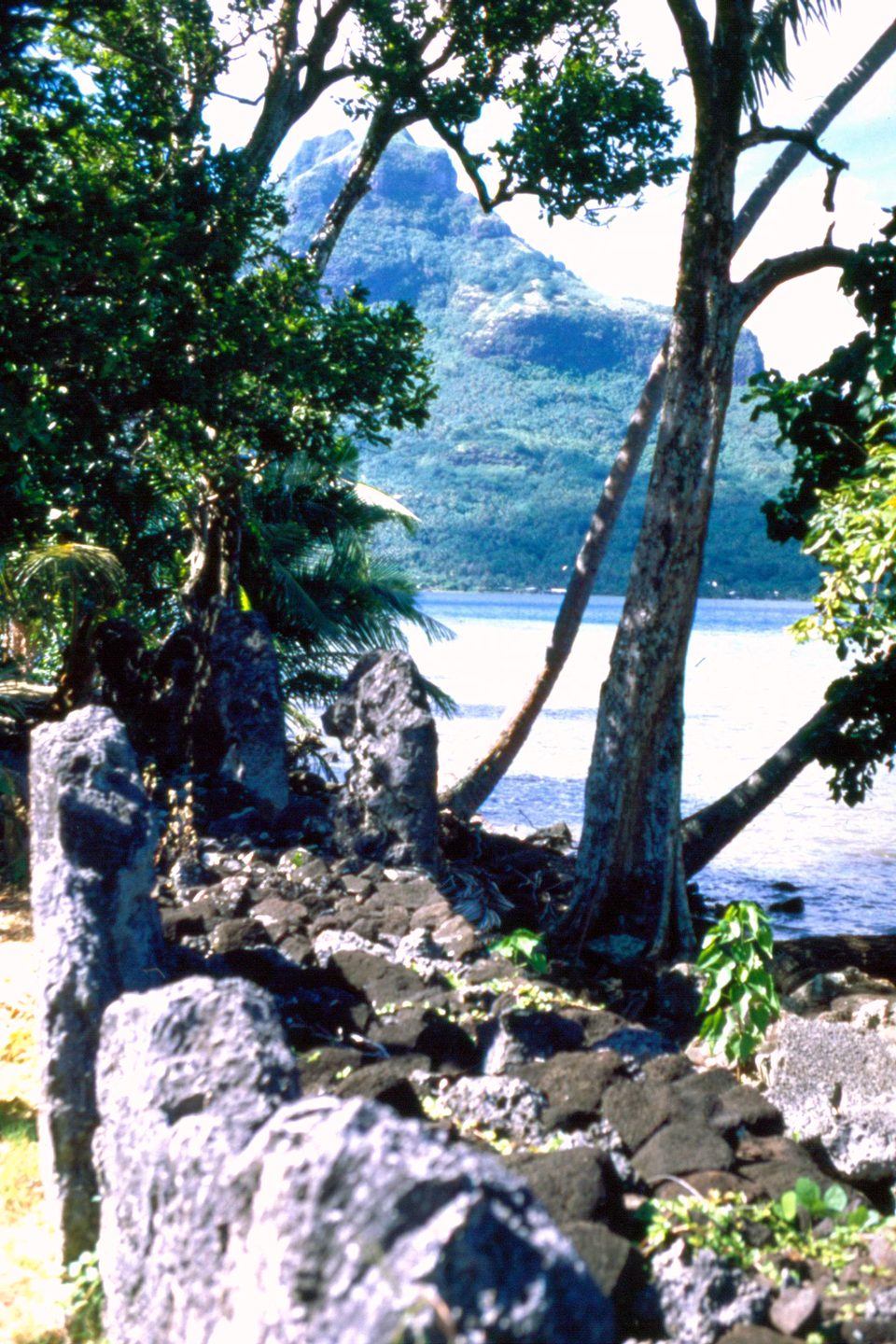 Upright slabs and a low wall of dark coral stone under trees at the edge of a pale lagoon, steep green peaks rising behind