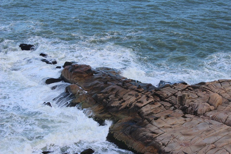 Sea lions hauled out on a granite tongue of rock in Atlantic surf