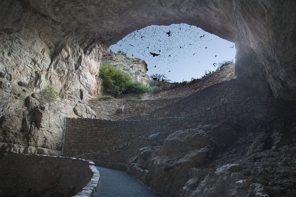 From inside a cave mouth, a stone-walled switchback path climbs toward an arch of evening sky filled with hundreds of dark bats in flight