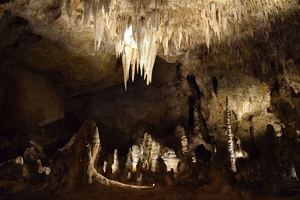 A dense cluster of pale stalactites hangs from a dark cave ceiling above a field of lit stalagmites, one slim column standing apart at right