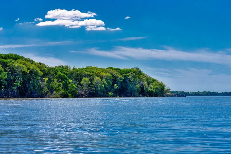 A view over the Celestún estuary