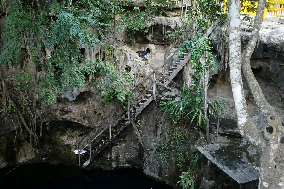 Wooden stairs descending a rock shaft into dark water in a cenote, roots hanging from the opening above