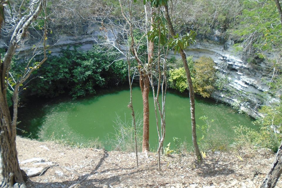 A wide sinkhole with a pale limestone wall and green water below, trees at its edge, seen from the rim