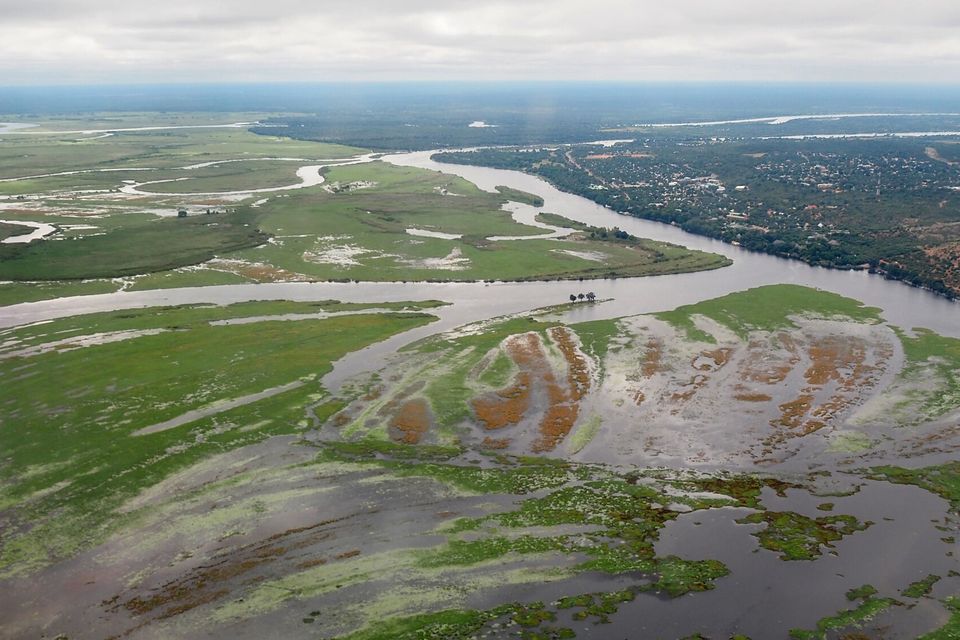 A wide river splitting into channels across a green and brown floodplain, a town among trees on the right bank and a hazy horizon