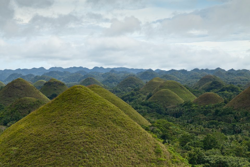Green grass-covered cone hills rising above dense forest under a grey cloudy sky, one large cone in front and more running to a distant ridge