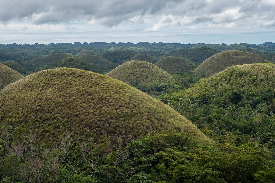 A large rounded hill covered in tufted green and brown grass, with more hills and forest behind under a cloudy sky