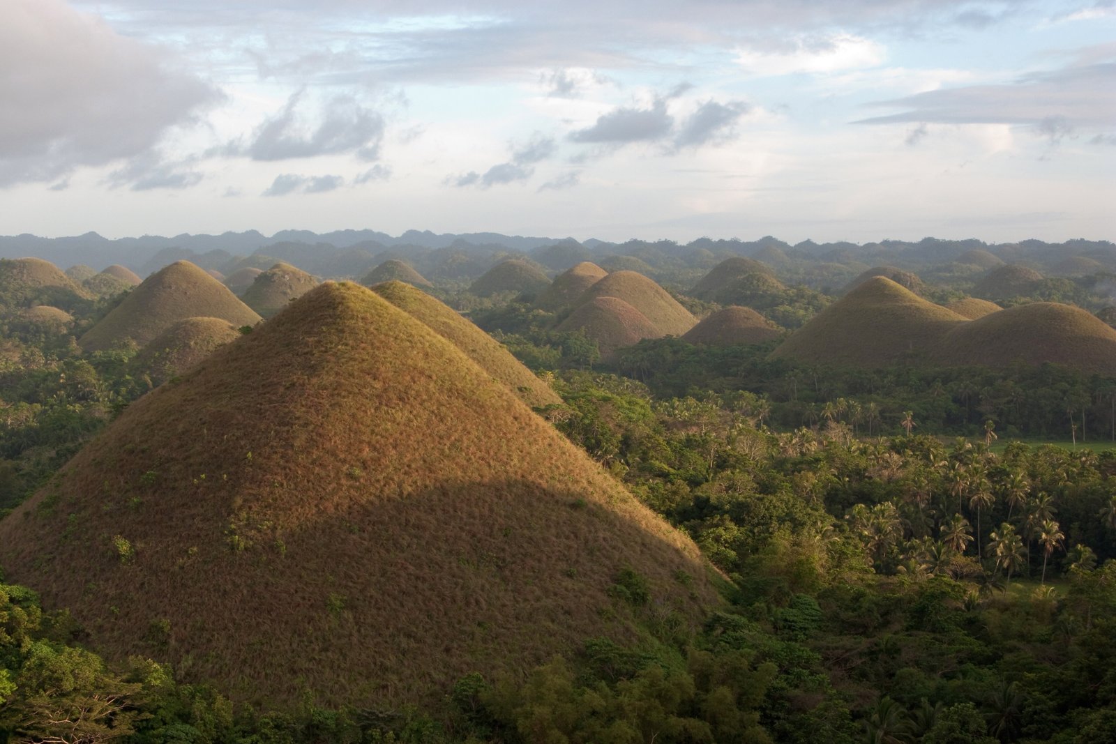 Grass-covered brown cone-shaped hills rising from green forest and palms in low evening light, one large cone in the foreground and many more receding to a hazy horizon