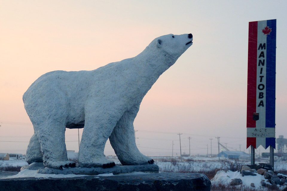 A large pale statue of a polar bear raising its nose, beside a Manitoba sign, against a pink evening sky