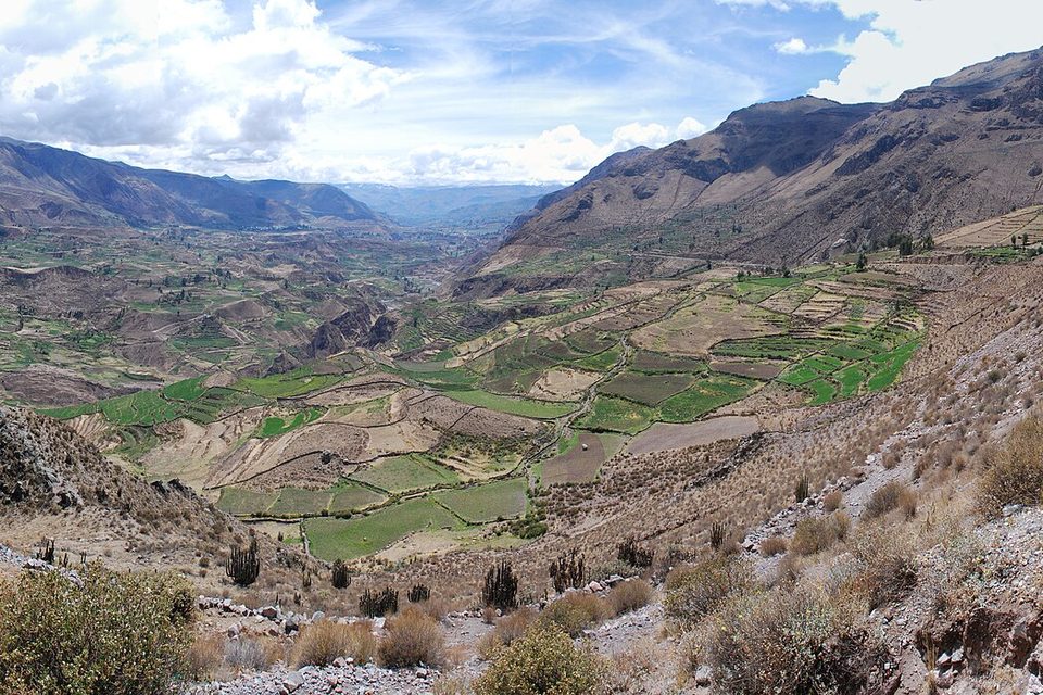 A broad valley with a patchwork of green terraced fields on a hillside, dry slopes with cacti in the foreground and mountains under a clouded sky