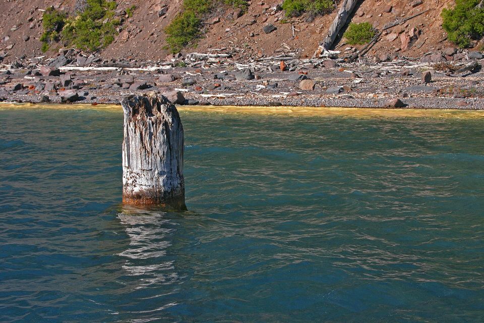 A weathered grey tree trunk standing upright in choppy blue-green water, a rocky shore and a bare slope behind it