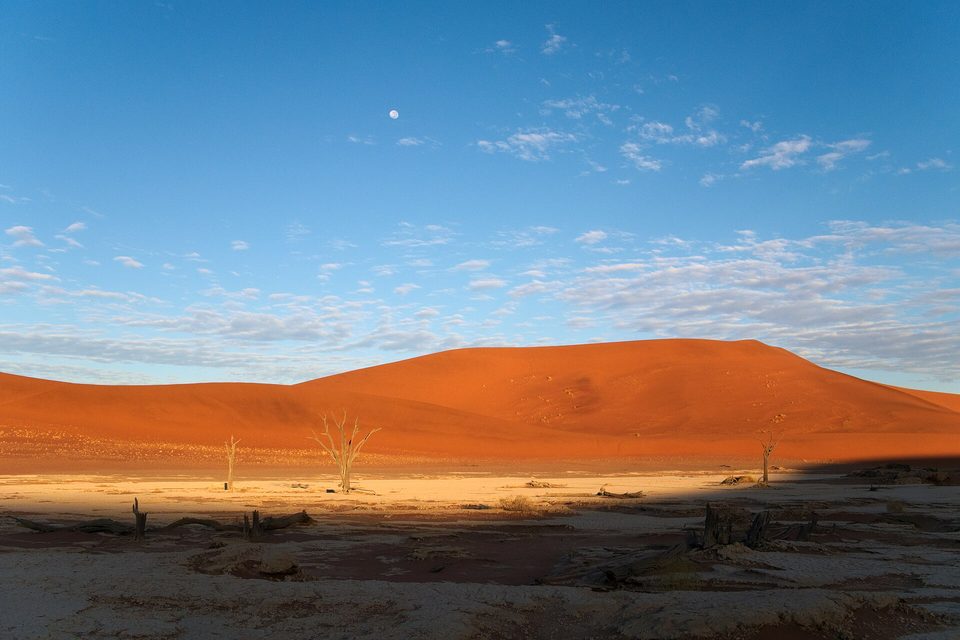 A lit orange dune under a blue sky with a small moon, the pale clay floor and its dead trees still in shade in the foreground