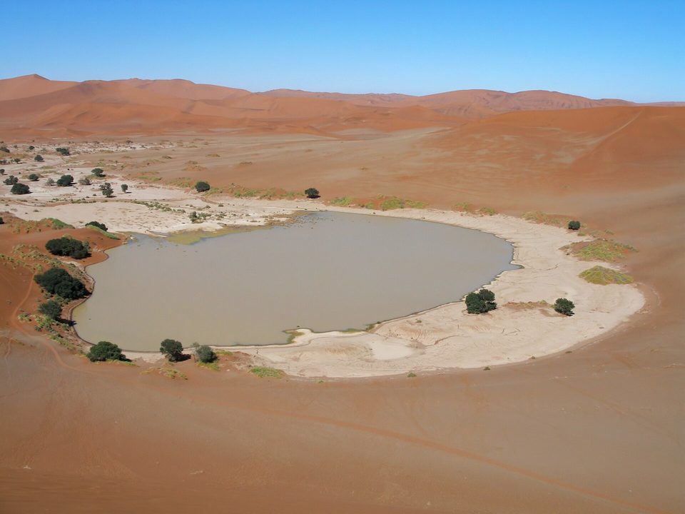 A pool of grey-brown water filling a clay pan ringed by green acacias, with red dunes behind under a clear sky