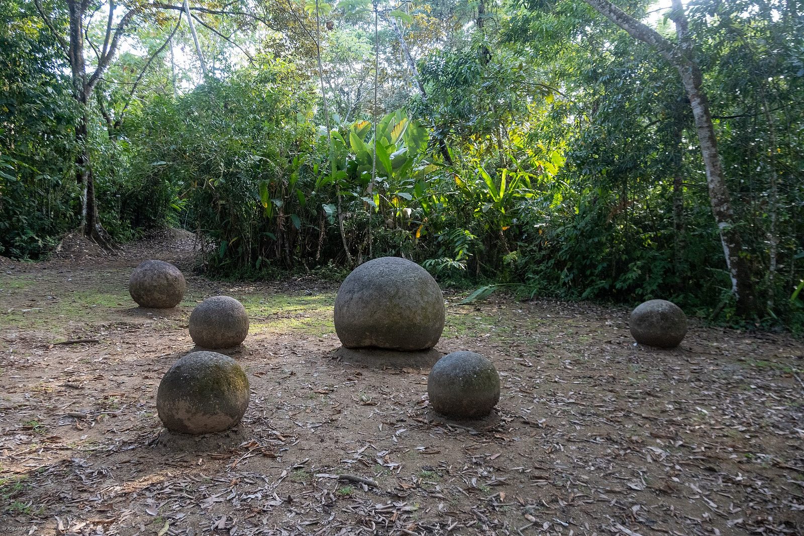 Six stone spheres of different sizes sit on a bare earth clearing at the forest edge, the biggest in the centre on its own low mound, heliconias and tall trees behind in soft morning light