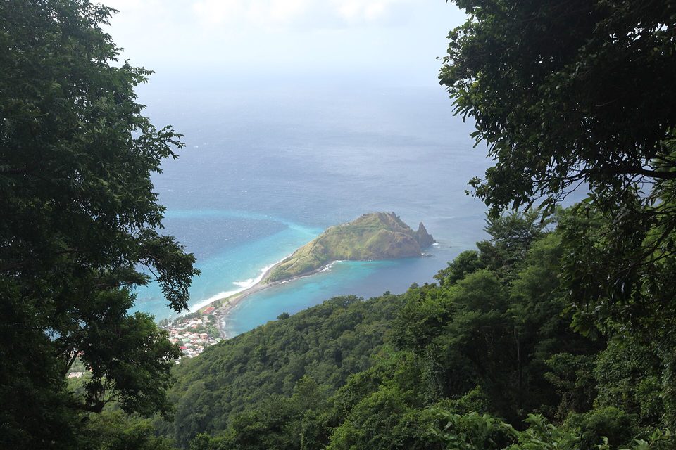 Looking down through forest to a narrow isthmus and headland between two seas