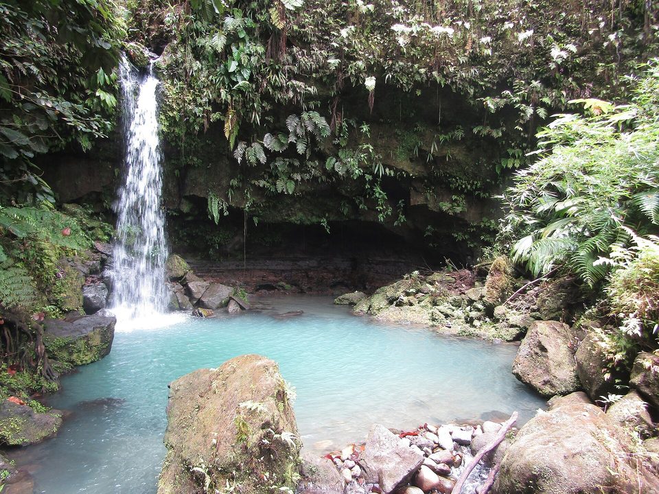 A small waterfall dropping into a green pool among ferns