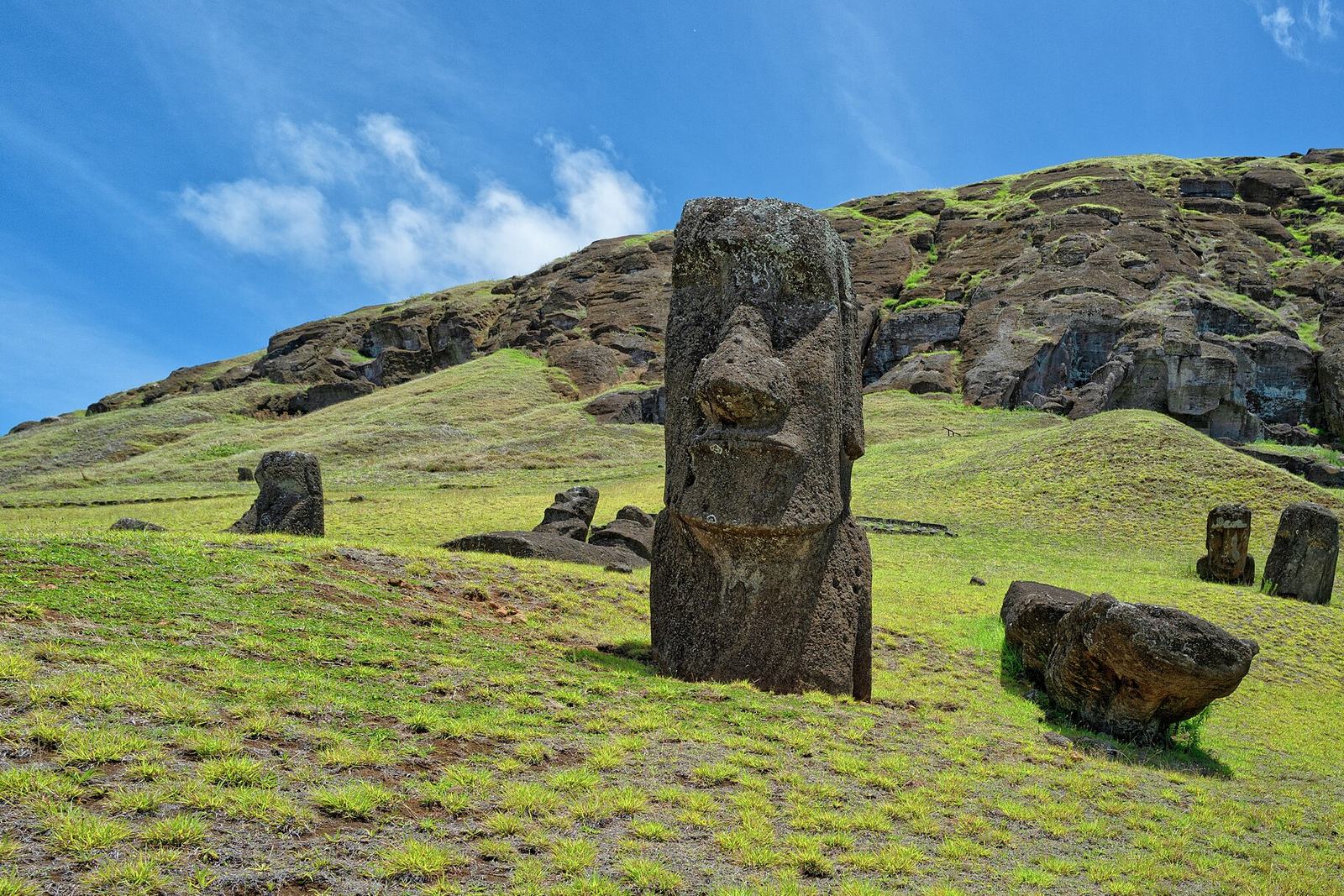 A tall moai with a long nose and heavy brow standing buried to its chest on a grassy slope, other figures standing and lying across the hillside, a dark rock cliff and blue sky behind