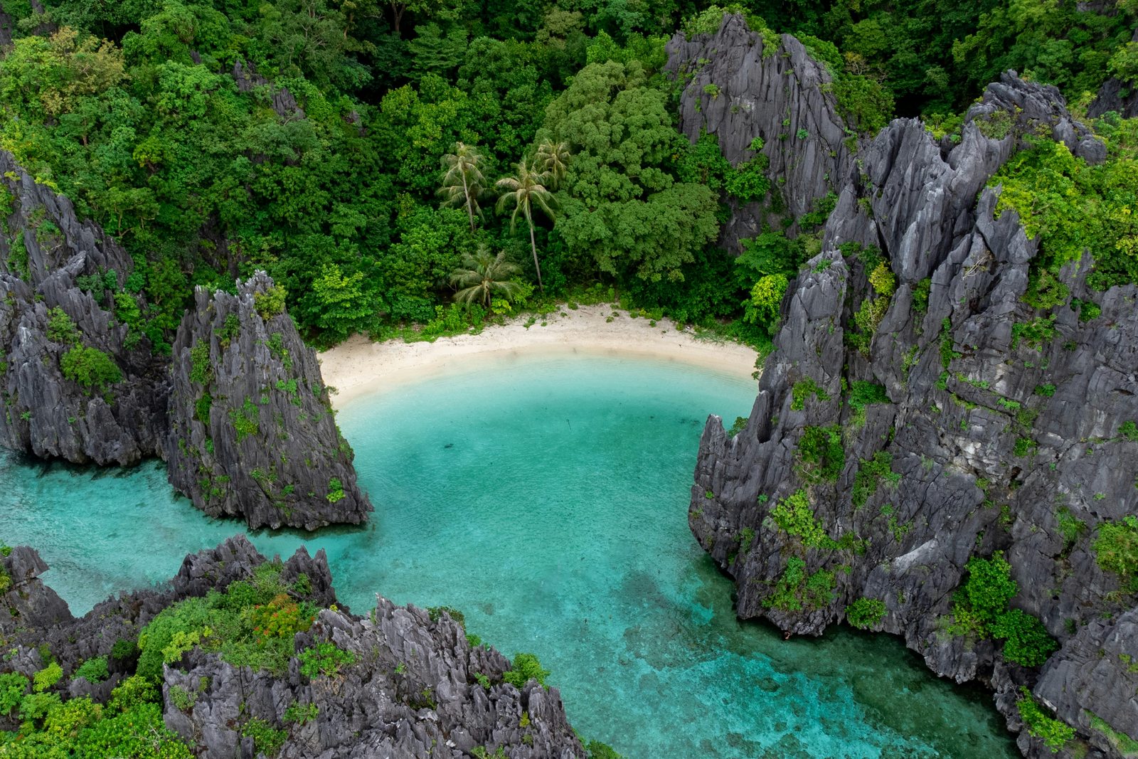 A small white beach and a pool of turquoise water enclosed by grey limestone cliffs and palms, seen from above near El Nido