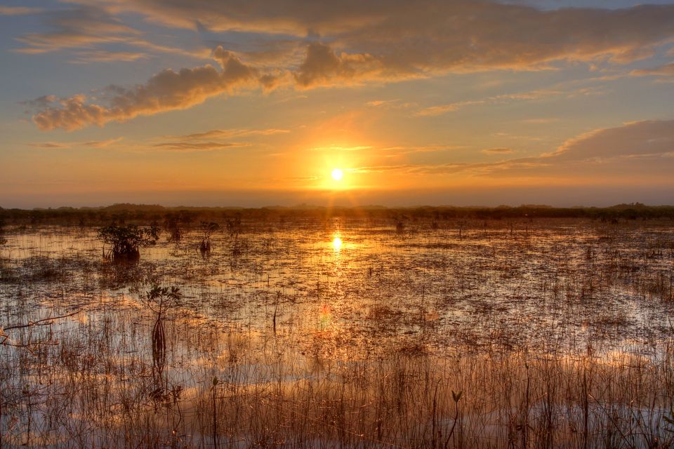 The sun low on the horizon over flooded sawgrass, the water holding its light