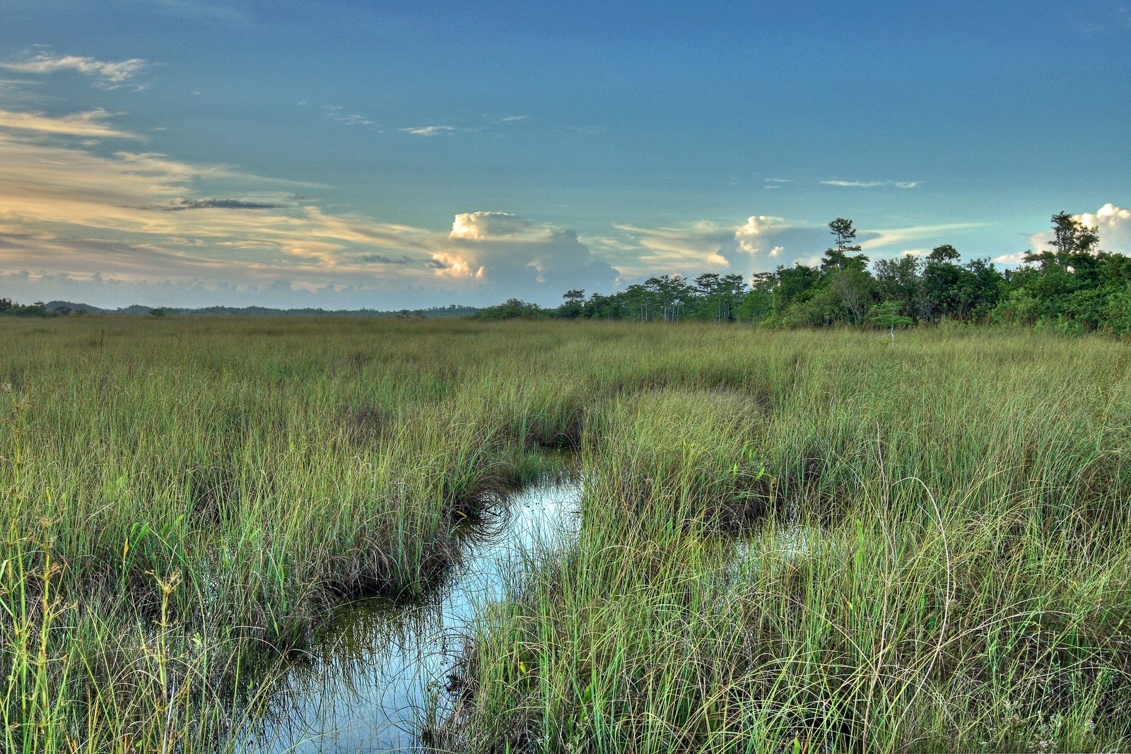 A ribbon of water winding through a flat prairie of sawgrass, with low trees along the horizon under a warm sky