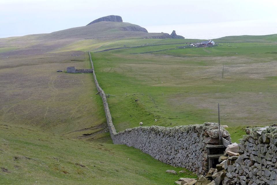 A long lichen-grey dry-stone wall crosses green pasture with grazing sheep, a stone shed and a red-roofed croft, toward a dark rock headland above the sea