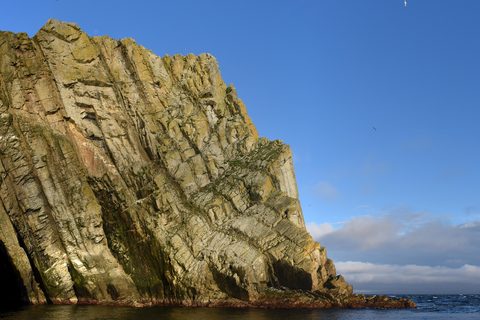 A sheer, tilted sandstone cliff glows gold in low sun above a dark sea, seabirds flecking a deep-blue sky, a cloud bank on the horizon